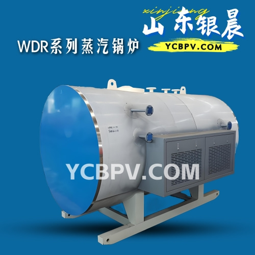 WDR系列蒸汽锅炉