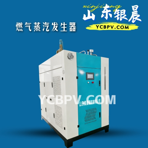 燃气蒸汽发生器